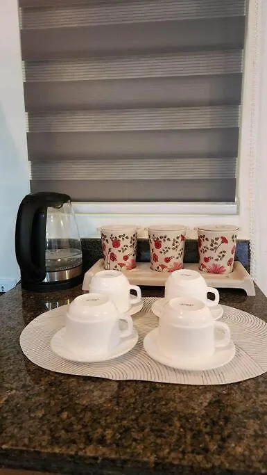 Apartment Mandaluyong 2 Bedroom Condo For Rent Manila Philippines